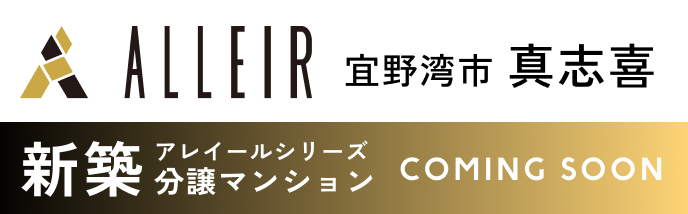 アレイール画像